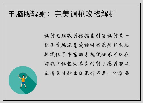 电脑版辐射：完美调枪攻略解析